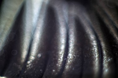 Mikroskop altında kelebek kanatları