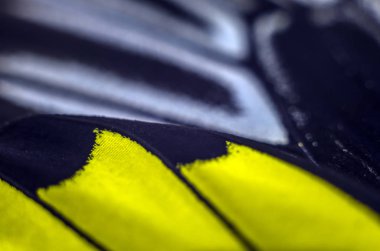 Mikroskop altında kelebek kanatları