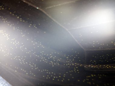 Mikroskop altında kelebek kanatları