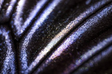 Mikroskop altında kelebek kanatları