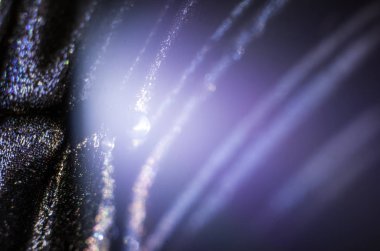 Mikroskop altında kelebek kanatları