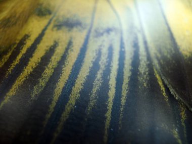 Mikroskop altında kelebek kanatları