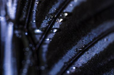 Mikroskop altında kelebek kanatları