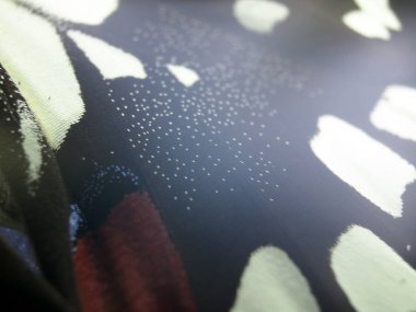 Mikroskop altında kelebek kanatları