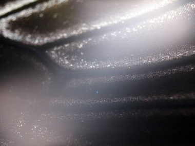 Mikroskop altında kelebek kanatları