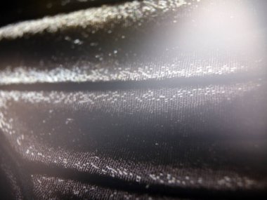 Mikroskop altında kelebek kanatları