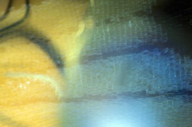 makro bir kelebek kanat