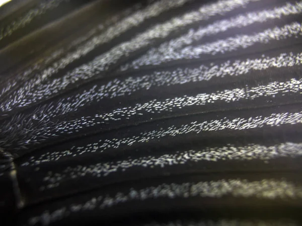 Mikroskop altında kelebek kanatları