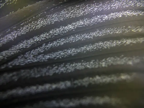 Mikroskop altında kelebek kanatları