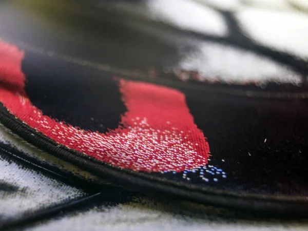 Mikroskop altında kelebek kanatları