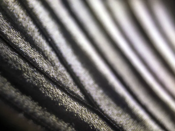 Mikroskop altında kelebek kanatları