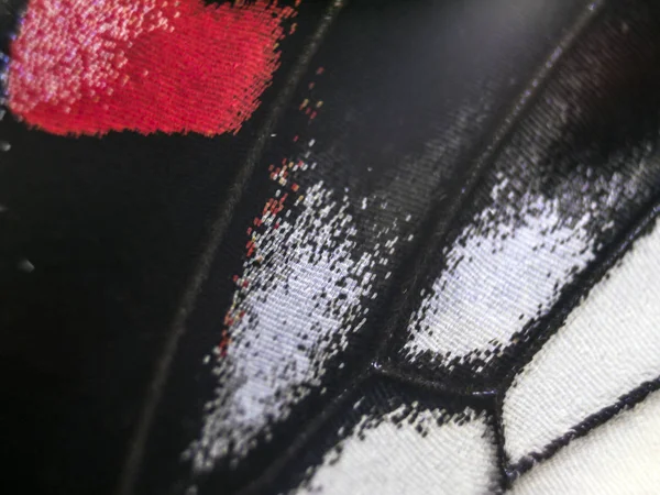 Mikroskop altında kelebek kanatları