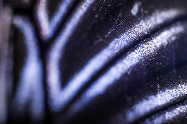 현미경 아래있는 나비의 — 스톡 사진