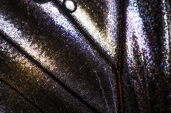 Mikroskop altında kelebek kanatları