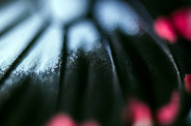 makro bir kelebek kanat