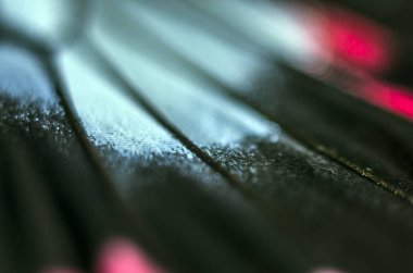 makro bir kelebek kanat