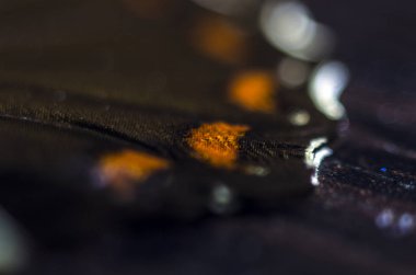 makro bir kelebek kanat