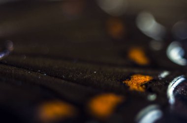 makro bir kelebek kanat