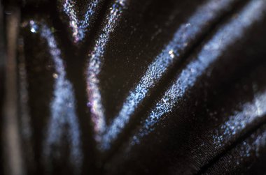 makro bir kelebek kanat