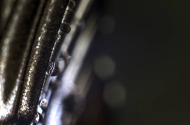 makro bir kelebek kanat