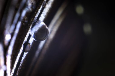 makro bir kelebek kanat