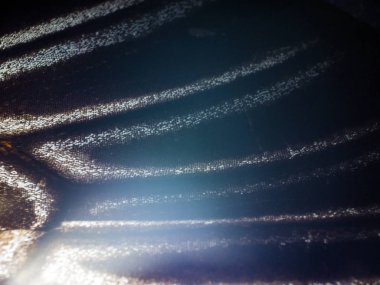 makro bir kelebek kanat