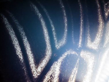 makro bir kelebek kanat