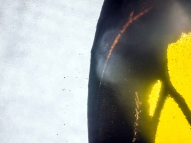 makro bir kelebek kanat