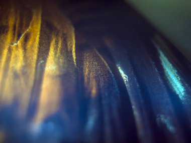 makro bir kelebek kanat