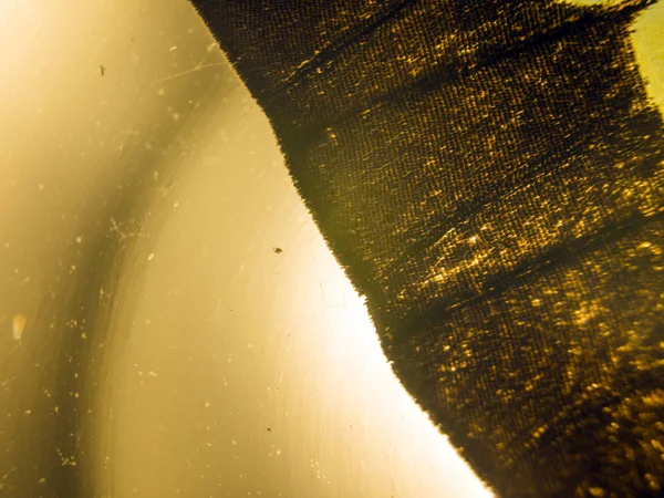 makro bir kelebek kanat