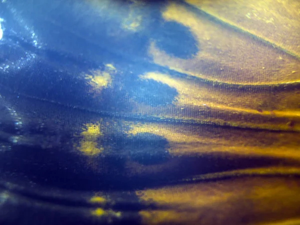 makro bir kelebek kanat