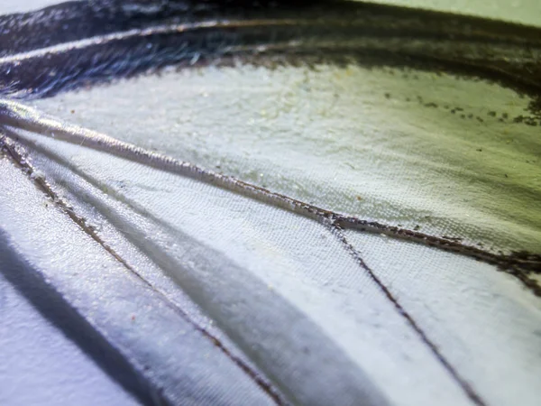 makro bir kelebek kanat