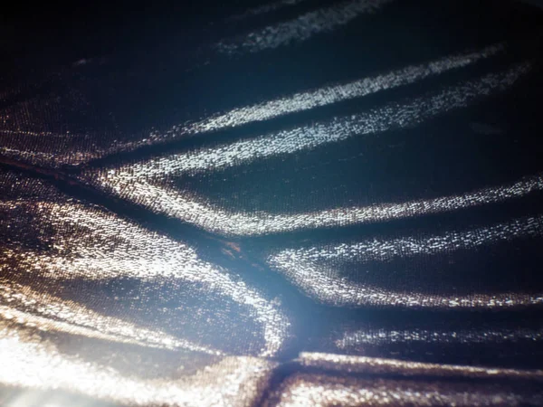 makro bir kelebek kanat