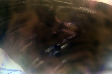 Mikroskop altında kelebek kanatları