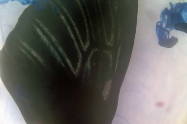 Mikroskop altında kelebek kanatları