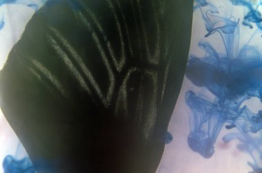 Mikroskop altında kelebek kanatları