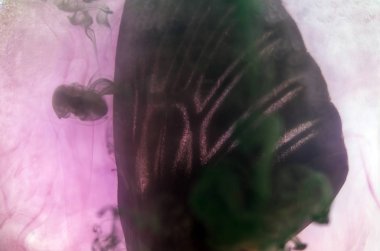 Mikroskop altında kelebek kanatları