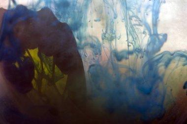 Mikroskop altında kelebek kanatları