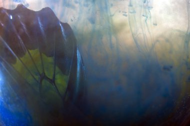 Mikroskop altında kelebek kanatları