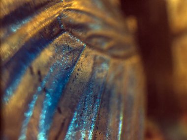 Mikroskop altında kelebek kanatları