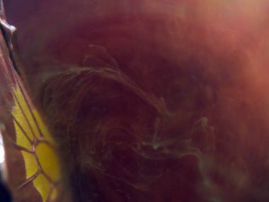 Mikroskop altında kelebek kanatları