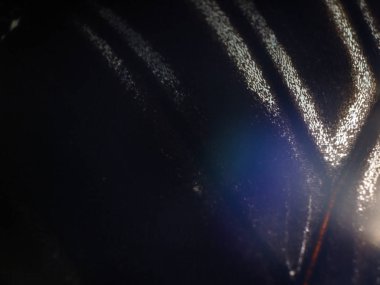 Mikroskop altında kelebek kanatları