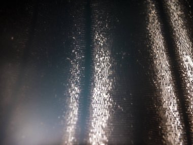 Mikroskop altında kelebek kanatları