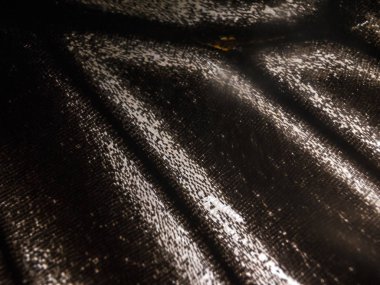 Mikroskop altında kelebek kanatları