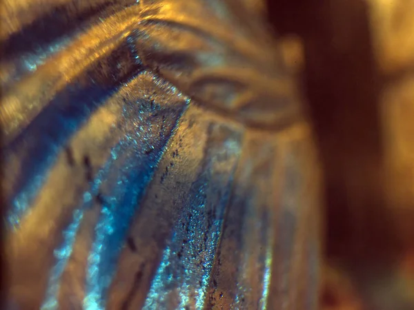 Mikroskop altında kelebek kanatları