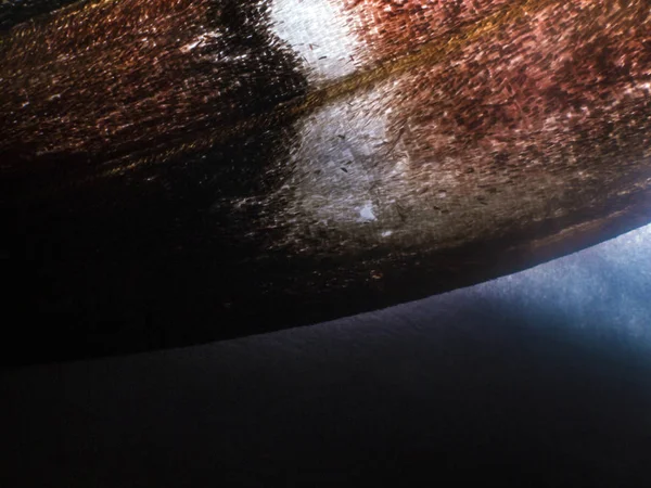 Mikroskop altında kelebek kanatları