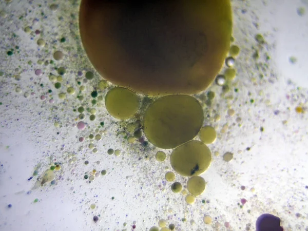 boya su ile kimyasal reaksiyon