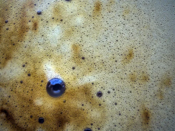 boya su ile kimyasal reaksiyon