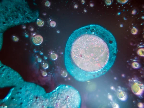 boya su ile kimyasal reaksiyon