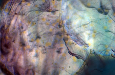 boya su ile kimyasal reaksiyon